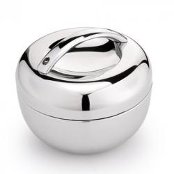 Stainless Steel Apple Lunch Box