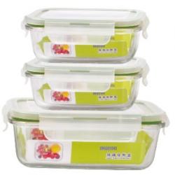 Glass Food Storage Box