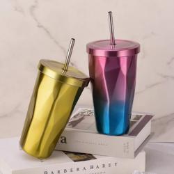Gradient SS Tumbler