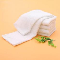 Compressed Towel