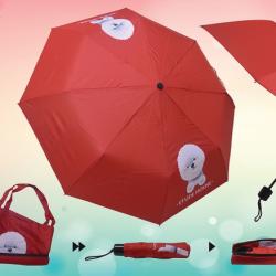2 in 1 Umbrella with Bag