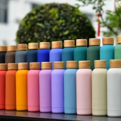 Double Wall Stainless Steel Narrow Mouth Vacuum Flask Thermal