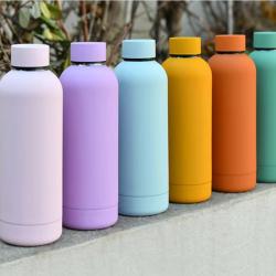Double Wall Stainless Steel Narrow Mouth Vacuum Flask Thermal
