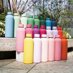 Double Wall Stainless Steel Narrow Mouth Vacuum Flask Thermal