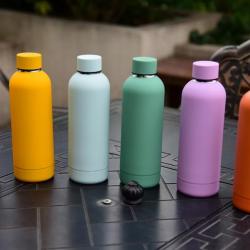 Double Wall Stainless Steel Narrow Mouth Vacuum Flask Thermal