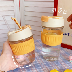 Anti-Scalding Portable Glass Cup With Lid Straw