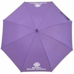 24inch Leather Handle